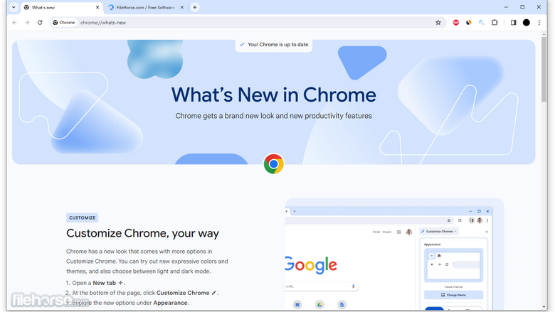 Google Chrome Moveable (64-bit)